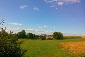 Wanderung Wald und Flur Beate Wanderung Wald und Flur Beate