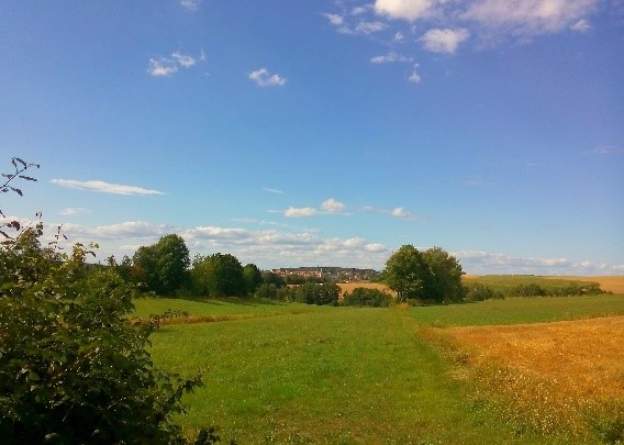 Wanderung Wald und Flur Beate
