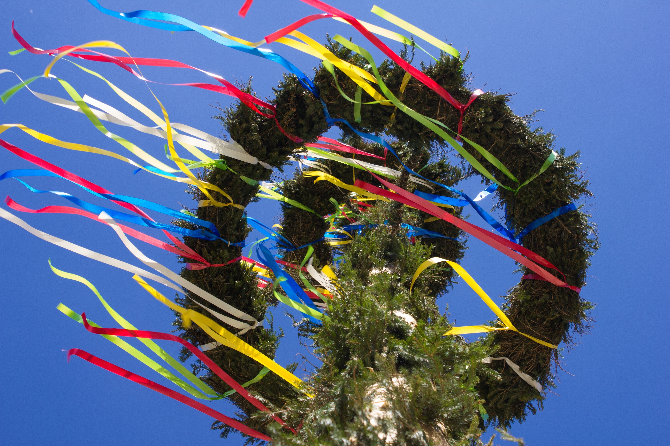 Maibaum