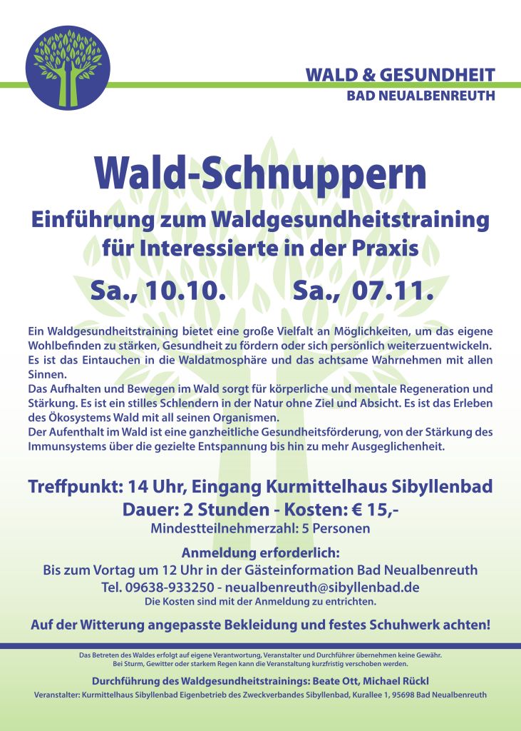 Waldgesundheitstraining 2020-10-11