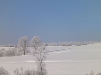 Langlauf Winter