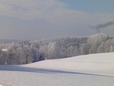 Schlittenfahren Winter