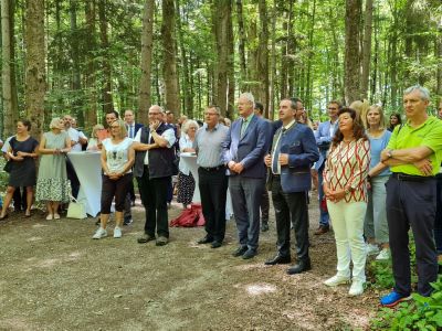 Im Wald bei Bad Wörishofen