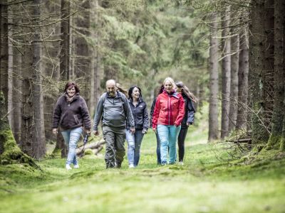 Achtsamkeitswanderung Hauptbild